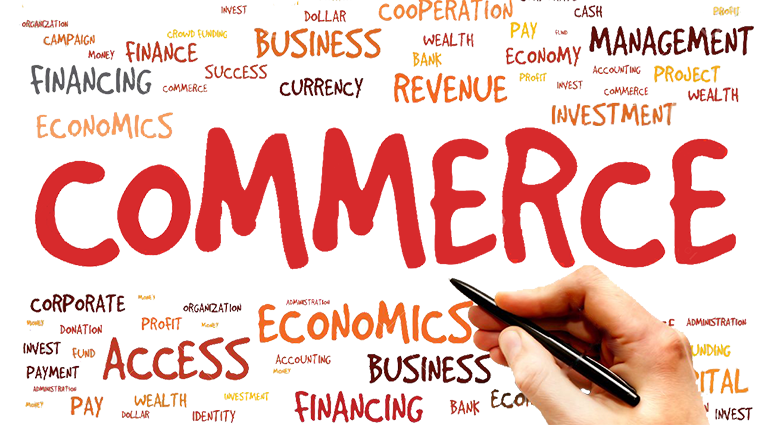 after 12th career in commerce with account and economics subject